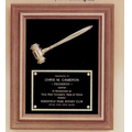 American Walnut Frame w/ Metal Gavel & Maroon Velour Background (15"x18")